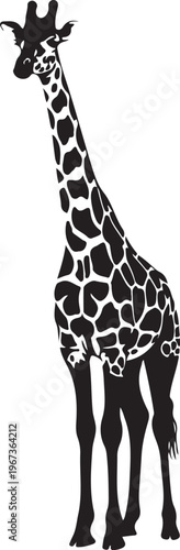Black and white giraffe silhouette animal
