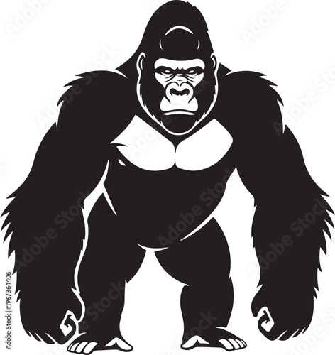 Black and white gorilla standing aggressively animal