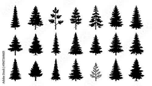 Pine tree silhouettes collection, 21 conifer forest evergreen vector icons, black spruce and fir tree shapes for outdoor landscape design