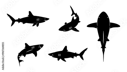Shark silhouette vector set, 5 black predatory fish icons, great white shark swimming poses, marine life predator graphics for ocean conservation