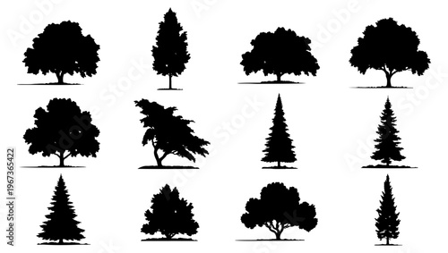 Black tree silhouettes collection, set of 12 deciduous and coniferous tree icons, forest plant vector elements for landscape design and architectural mapping