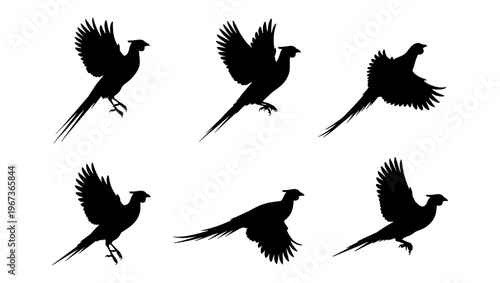 Pheasant silhouette vector collection, set of 6 flying game bird silhouettes, black wild pheasant icons for hunting and nature design