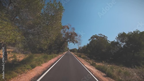 POV Driving on a Scenic Coastal Road Through Pine Forest