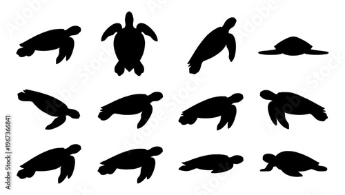 Sea turtle silhouette collection, set of 12 marine reptile vector icons, black aquatic animal shapes on white background, ocean wildlife graphics