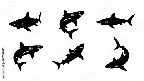 Great white shark silhouette collection, set of 6 predatory sea fish icons, black shark vector graphics for marine wildlife design and logos
