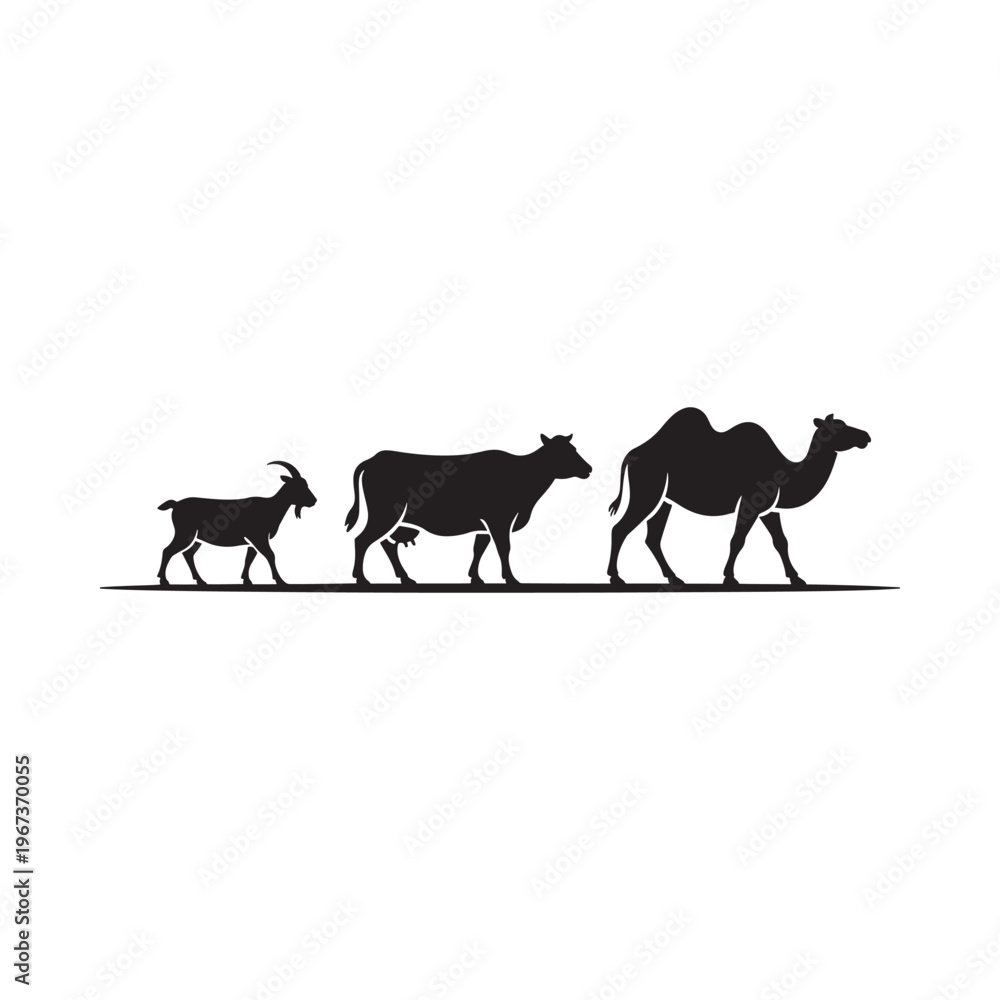 Fototapeta premium Silhouette illustration depicting a goat cow and camel walking in a line