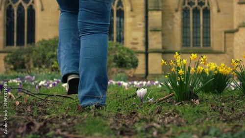 Woman walking towards church through yellow daffodil flowers 