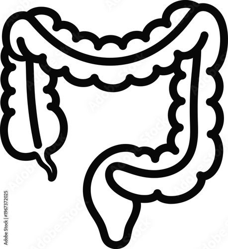 Human intestine colon digestive system organ outline vector icon for medical design