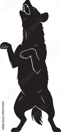 Black bear standing on hind legs with mouth open silhouette