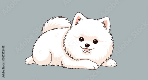 Fluffy white pomeranian dog lying down with a happy expression and cute facial features against a solid gray background.