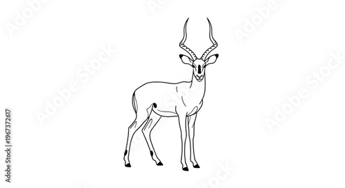 Artistic line drawing of a slender antelope with long curved horns standing in a graceful pose isolated on a white background.