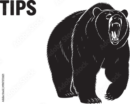 Black bear standing with mouth open on white background