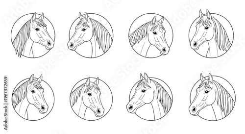 Series of eight horse head portraits enclosed in circles featuring delicate line art and different profiles for logo design.