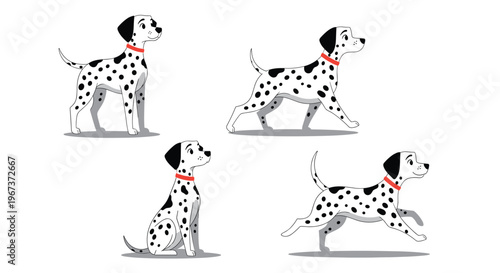 Dalmatian dog character collection illustrating four various actions including standing, walking, sitting and running on a background.