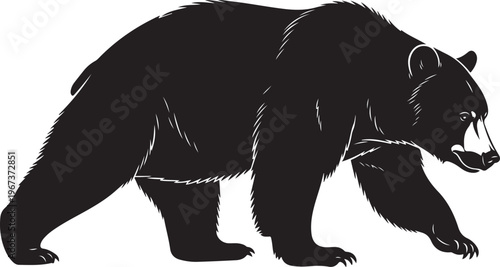 Black bear walking right with mouth open walking bear