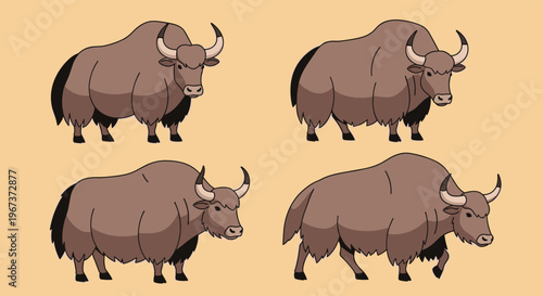 Set of four yak illustrations showing different standing and walking poses on a soft beige background for mountain wildlife education.