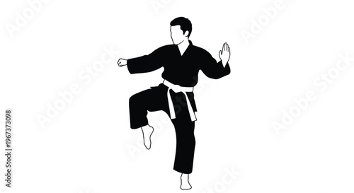 Martial artist performing a dynamic kick in a striking silhouette