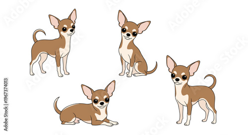 Collection of four brown and white chihuahua dogs in different standing and sitting positions in a cute cartoon style.