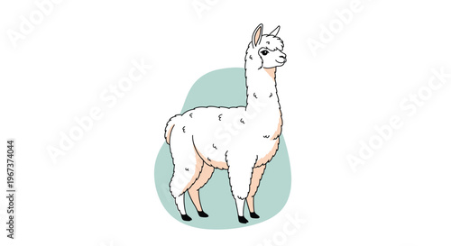 Fluffy white alpaca standing in front of a soft green shape in a minimalist and modern cartoon illustration style.