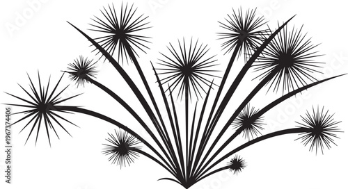 Black dandelion flowers and seeds on white background