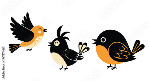 Cute set of three cartoon bird characters including an orange bird in flight and two black and beige birds standing with different crests.
