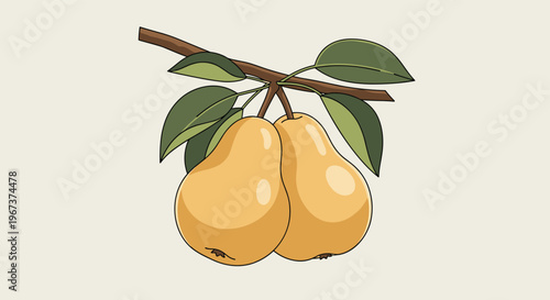 Two ripe yellow pears hanging from a small tree branch with green leaves in a simple and clean cartoon illustration.