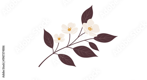 Elegant branch of jasmine with delicate white flowers and dark brown leaves in a soft and modern illustration style.