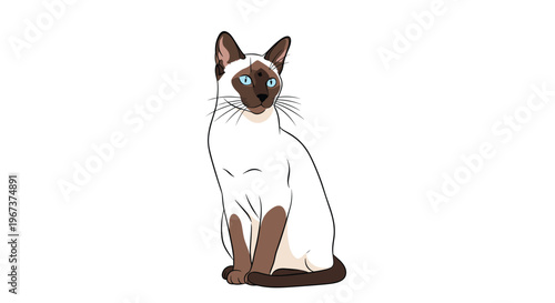Elegant Siamese cat with bright blue eyes and seal point markings sitting gracefully in a clean and modern cartoon style.