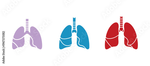 Respiratory system lungs icon in a simple solid style, isolated on white for health design.