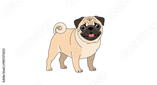 Adorable illustration of a fawn-colored pug dog standing and looking forward with its characteristic wrinkled face and curly tail.