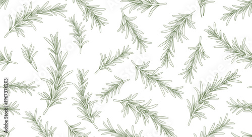 Refreshing seamless pattern of green rosemary sprigs on a white background for kitchen decor or food packaging design.