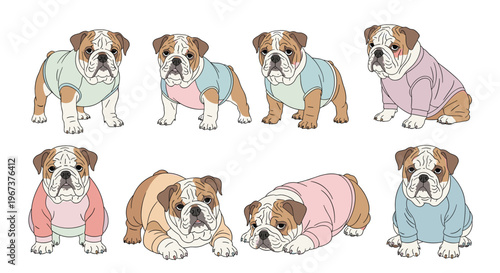 Set of eight adorable bulldog puppies wearing various colorful sweaters in different playful poses for pet apparel.