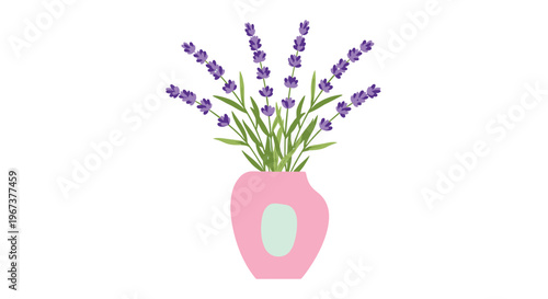 Delicate bunch of purple lavender flowers arranged in a simple pink ceramic vase isolated on a white background.