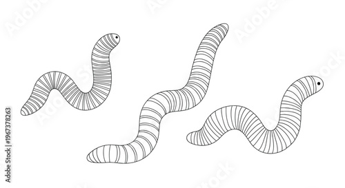 Minimalist black and white line art illustration of three segmented worms crawling across a plain white surface in various curved positions.