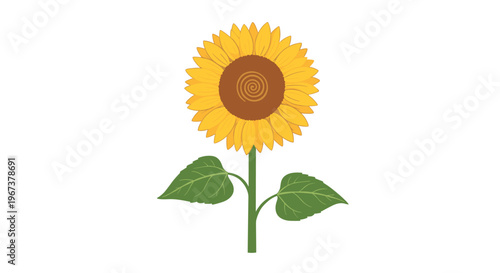 Vibrant illustration of a large yellow sunflower with a spiral center and green leaves on a tall stem isolated on a white background.