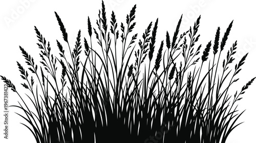 Striking black and white silhouette illustration of tall wild grass, perfect as a natural border or decorative element for diverse design projects