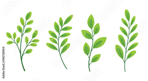 Set of four vibrant green leafy branches and stems arranged vertically for botanical and nature related graphic design projects.