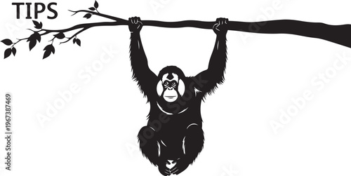 Black silhouette of a monkey hanging from a tree branch