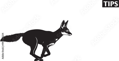 Black silhouette of a running fox with white accents on a white background