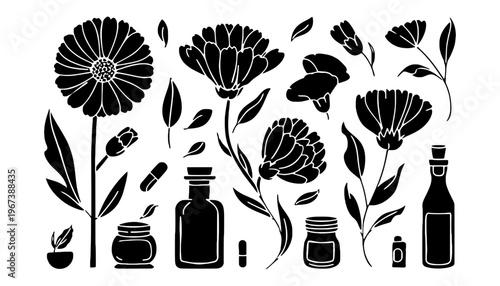 Flower vector silhouette illustration with various bottles and jars