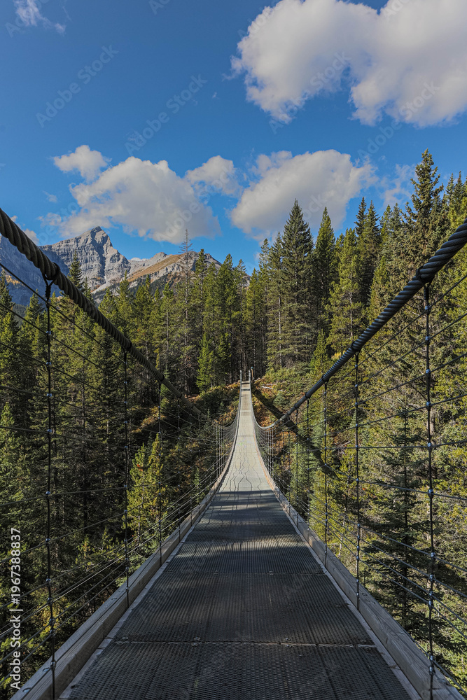 Fototapeta premium suspension bridge