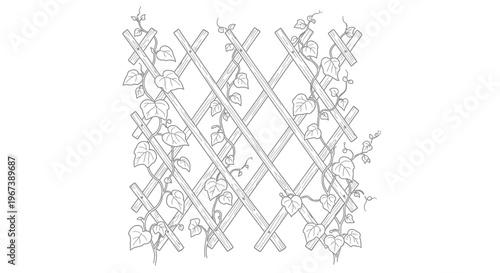 A detailed line drawing of a garden trellis with climbing vines
