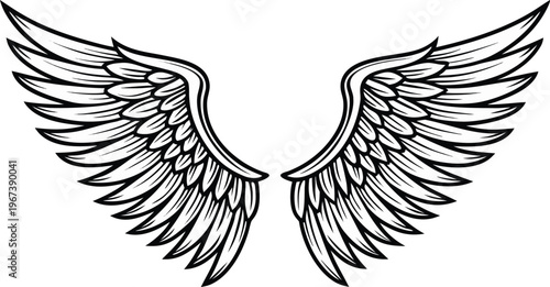 Vintage style angel wings with intricate feathers black and white wing feathered wings