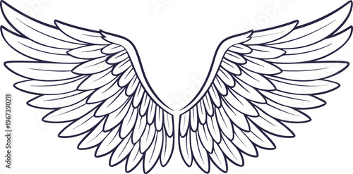 Realistic angel wings with layered feathers feathered wings black and white line layered feathers