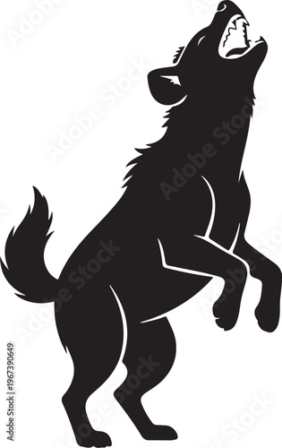 Black wolf silhouette howling upwards white background