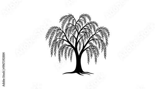 A willow tree silhouette illustration on a white background