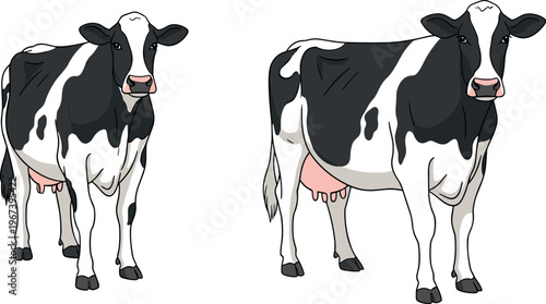 Set of Black and White Cartoon Cows with Different Poses for Farm, Animal, and Livestock Illustrations
