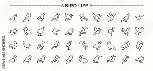 Bird related icon set. Wildlife icon set. Set of line pictogram. Pictograms of nature, wildlife and more. Vector artwork and illustration.
