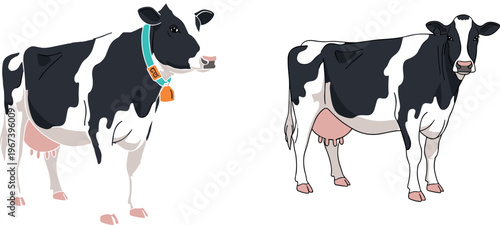 Set of Cartoon Black and White Cows with Collars and Different Poses for Farm, Animal, and Livestock Illustrations