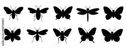 Silhouettes of various insects including moths and butterflies against a white background